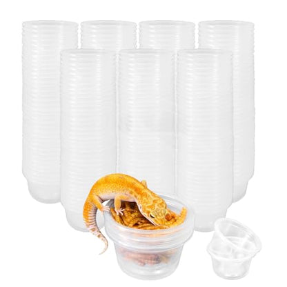 Tfwadmx 1oz 500pcs Gecko Feeding Cups, Reptile Food Dish and Water Cups Reptile Feeding Bowls Gecko Tank Accessories for Lizards Snake Crabs (1oz 500pcs) - size: 1oz 500 pcs