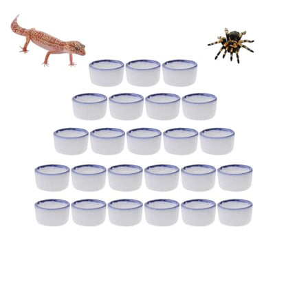POPETPOP 72 Pack Mini Reptile Water Bowls 0.78 Inch Ceramic Shallow Dish for Small Reptiles Tarantulas Frogs Food and Water Container for Terrarium Use