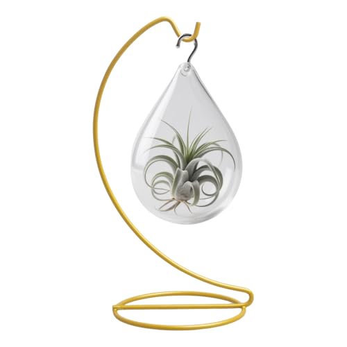 Ornament Display Hanger Stand,Gold Chrismas Ornament Party Decoration Holder,Air Plant Flower Pot Hanging Terrarium Home Office Decoration (Gold) - color: Gold, size: Small