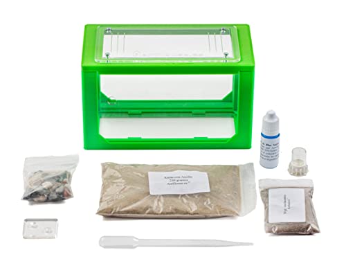 Anthouse.ES - 3D Aquarium-Style Natural Ant Farm - Sand Ant Farm - Complete Kit with Sand and Accessories - Starter Model 20x10x10 cm - Green Color - color: Green