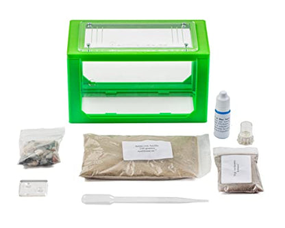 Anthouse.ES - 3D Aquarium-Style Natural Ant Farm - Sand Ant Farm - Complete Kit with Sand and Accessories - Starter Model 20x10x10 cm - Red Color - color: Red