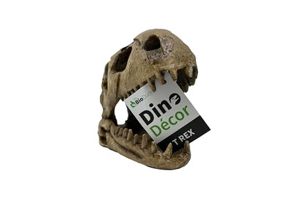 The Bio Dude - Dino Decor T REX bioactive Terrarium and Vivarium Skull Accent. Looks Natural