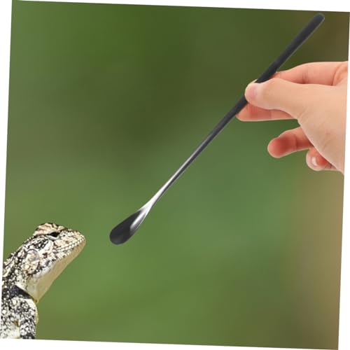 Toddmomy 3pcs Reptile Food Spoon Lizard Feeding Spoon for Wet Food Reptile Dish Tool Pet Supply