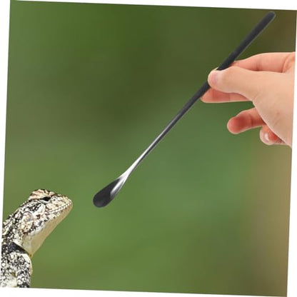 Toddmomy 3pcs Reptile Food Spoon Lizard Feeding Spoon for Wet Food Reptile Dish Tool Pet Supply