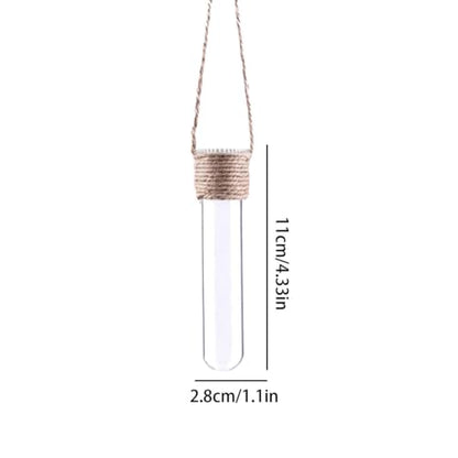 Plant Propagation Station 4 Pieces Clear Glass Planter | Plant Test Tube Wall Terrarium for Home Office Bedroom Living Room