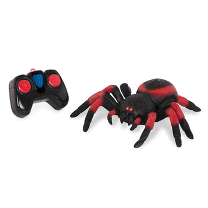 Terra by Battat RC Spider Tarantula with Infrared Remote, LED Eyes, Animals | Realistic tarantula toy with LED eyes, 1 spider and 1 remote control, moves left right forward and spins, Animals, 6+ Years - style: Spider (Red)