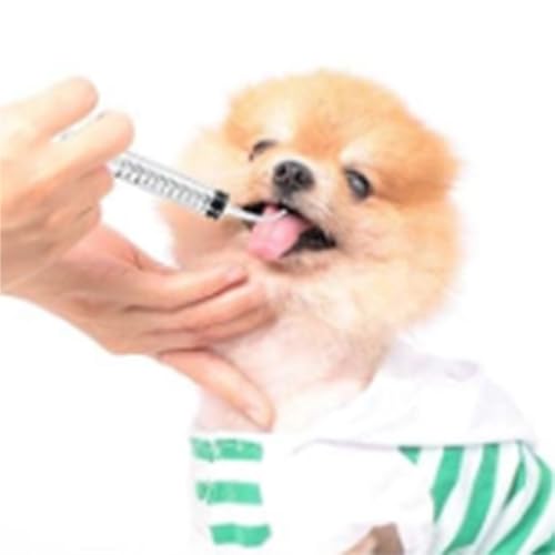 Baby Bird Feeding Syringe Set, Pet Parrot Milk Feeding Syringe with Tubes, Manual Syringe Feeder, Liquid Food, Reusable, Syringe with Spoon Tip（10ml*2+12ml*2+20ml+60ml）