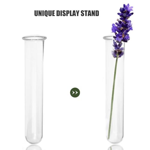 TOYANDONA 4pcs Glass Test Tube Vase Hydroponic Plant Holder Small Glass Propagation Tubes for Desktop Terrarium Decoration Home Garden