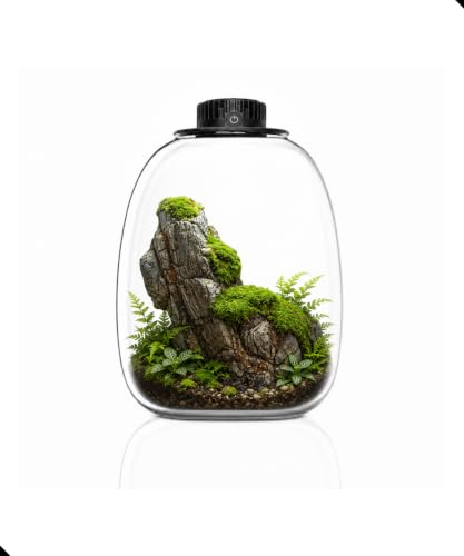 Bioloark QD-205 Large Penguin-Inspired Glass Terrarium with LED Grow Light, 8.5" x 10.2", 7.6L Bio Bottle Moss Terrarium for Plant Display, Ferns, and Miniature Landscapes - color: QD-205 (8.6 "X10.3")