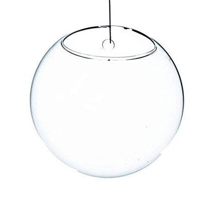 WGV Wall Hanging Planter Terrarium Bulk, Diameter 6", Clear Mounted DIY Succulents Air Glass Floral Container Vase, Tea Light Votive Candle Holder for Decoration 6 Pieces - size: 6"D