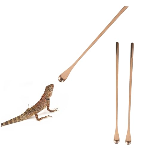 balacoo 2pcs Portable Lizard Food Feeding Spoon Reptile Pet Feeder Small Scoop Pet Supply Comfortable Handle - color: Rose Gold
