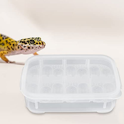 Compartment Reptile Hatchery Egg Incubation Box Heat Lamp for Enclosures