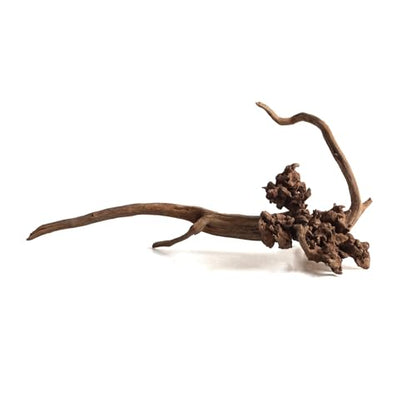 emours Natural Aquarium Driftwood, Horizontal Root Style Wood for Fish Tank Decor, Unique Driftwood for Aquascape, Terrarium and Reptile Display (8-12" (20-30 cm)) - size: 8-12" (20-30 cm)