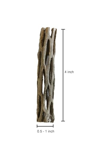 Natural Cholla Wood for Aquarium Decoration Shrimp and Fish Tank (4 Inch (3 Pack))