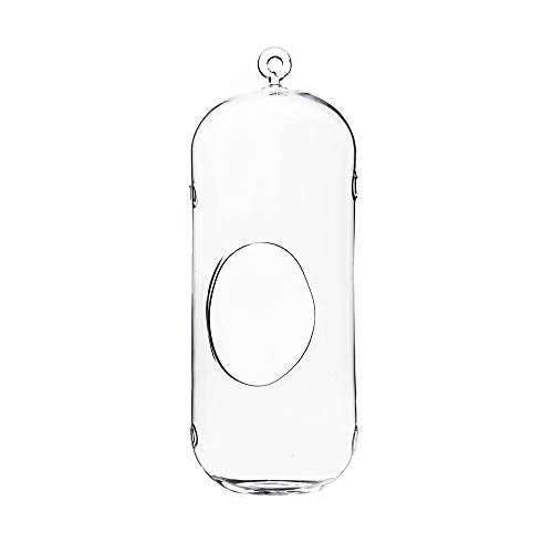 WGV Hanging Glass Plant Terrarium, Width 5", Height 13", Lantern DIY Air Succulent Planter Clear Tea Light Votive Candle Holder, Wedding Event Office Home Outdoor Decor, 1 Piece