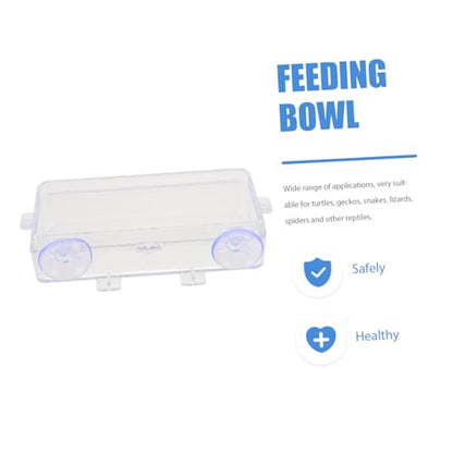 Beavorty 1pc Lizard Feeding Bowl Suction Cup Reptile Feeder Reptiles Reptile Water Bowl Reptile Gecko Feeder Dish Bowl Worm Dish Reptile Bowl Terraium Bowl Gecko Drink Acrylic Suction Basin