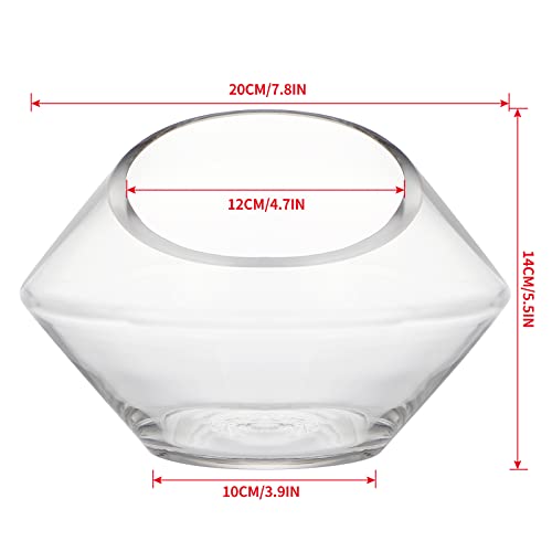 MDLUU Glass Bowl, 7.8" W x 5.5" H Geometric Terrarium, Candy Dish, for Succulent, Potpourri, Clear