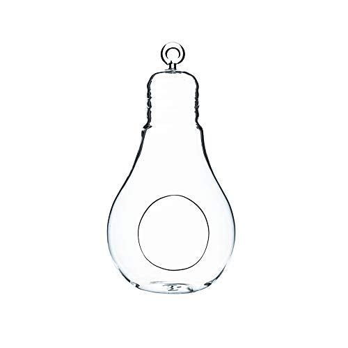 WGV Hanging Glass Plant Terrarium, Width 4.25", Height 8.25", Bulb DIY Air Succulent Planter Clear Tea Light Votive Candle Holder, Wedding Event Office Home Outdoor Decor, 1 Piece - size: Bulb L