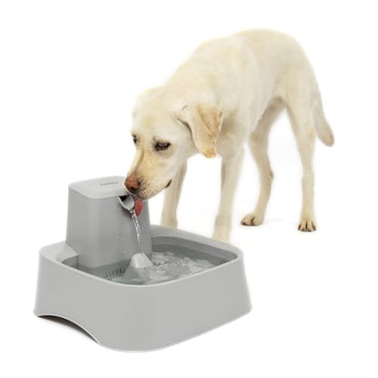PetSafe Oasys 2 Gallon Pet Fountain | Adjustable Water Flow, Whisker-Friendly Tray, Dishwasher-Safe, Replaceable Carbon & Foam Filters Included - size: 2 Gallon