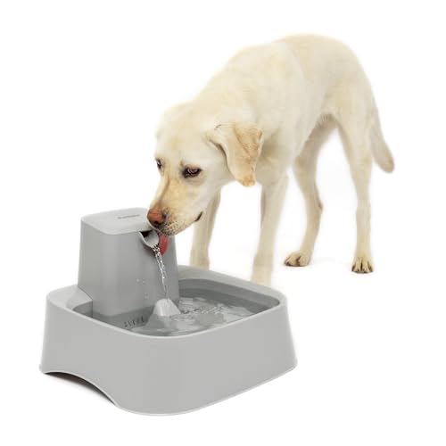 PetSafe Oasys 2 Gallon Pet Fountain | Adjustable Water Flow, Whisker-Friendly Tray, Dishwasher-Safe, Replaceable Carbon & Foam Filters Included - size: 2 Gallon