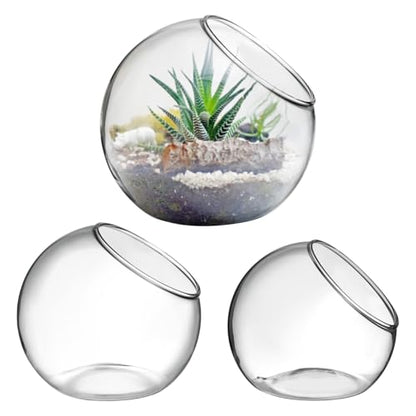 POPETPOP Plant Terrarium Glass Air Plant Holder: 3Pcs Tabletop Succulent Air Plant Planter Glass Succulent Planter Air Plant Vase for Succulent Cactus Plant, 12.00X12.00X12.00CM