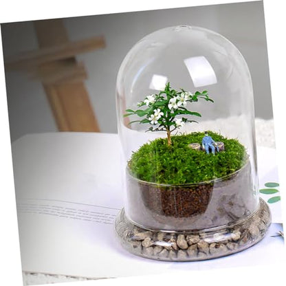 POPETPOP Glass Ecosystem Bottle Air Plant Holder DIY Bell Jar Terrarium Kit Decorative Plant Pot Drainage
