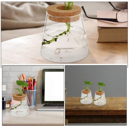 3pcs Glass Plant Propagation Station with Wood Lid, Desktop Hydroponic Vase for Flowers and Plants, Stylish Glass Terrarium for Office Desk or Corner, Ensures Clean Indoor