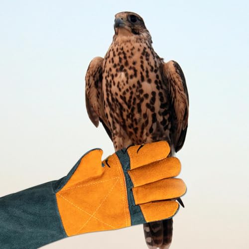 Animal Handling Gloves - Protective Pet Grooming Mitts, Scratch Resistant | Cat Safety Gear | Reptile Handling Glove Leather, Puncture Proof Dog Training Gloves for Veterinary Use Wildlife Care - color: A