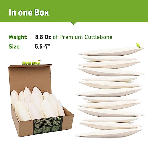 Sepia King - Large - 100% Natural Calcium Supplement - Premium Cuttlebone perfect for Birds, Tortoises, Snails, Reptiles - 5.5 to 7 inch