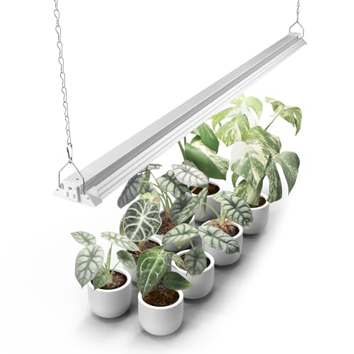Barrina TX72 4FT LED Grow Light, 72W(500W Equivalent), 5000K Full Spectrum | High PPFD, Linkable to 4, Hanging Light, Grow Light for Seed, Vegetable, Greenhouse with On/Off Switch, Linkable to 4, 1 Pack - color: 5000K, size: 4FT-72W-1P