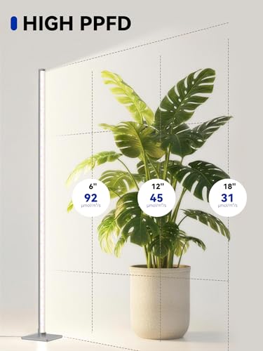 Vertical Grow Light for Indoor Plants, 60in LED Standing Lamp | 36W Full Spectrum Plant Lights with Auto Timer, 268 LEDs Dimming and 3 Light Modes for Wide Coverage Area in Indoor Gardens - size: 60 IN(Silver)