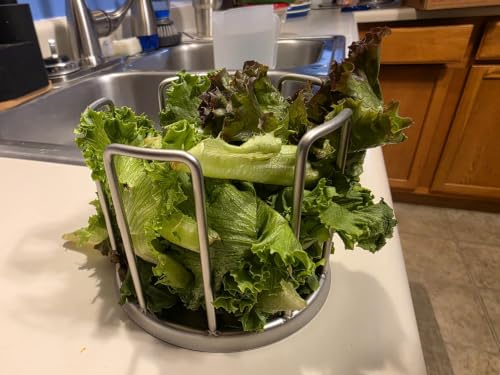 Tortoise Feeding Bowl, Stainless Steel Anti-Climb Reptile Food Dish, No-Mess Feeder for Tortoises, Box Turtles，Works to Keep Food in Place