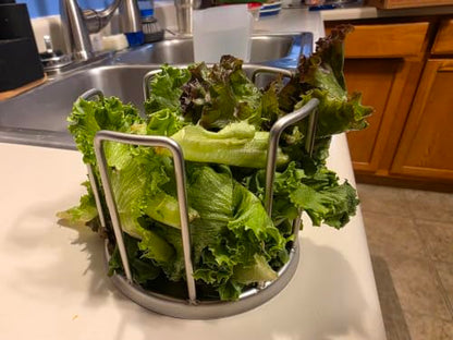 Tortoise Feeding Bowl, Stainless Steel Anti-Climb Reptile Food Dish, No-Mess Feeder for Tortoises, Box Turtles，Works to Keep Food in Place