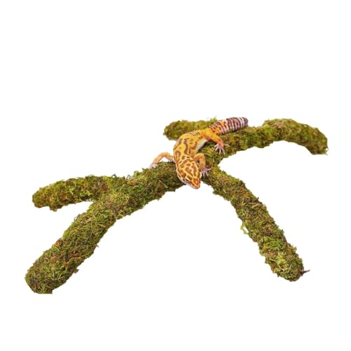 Leopard Gecko Tank Accessories, Adjustable Climbing Toys Supplies, Terrarium Habitat Decor