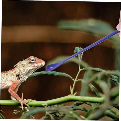 2pcs Reptile Food Spoon Stainless Steel Small Reptile Water Feeder Tortoise Food Scoop - color: Blue