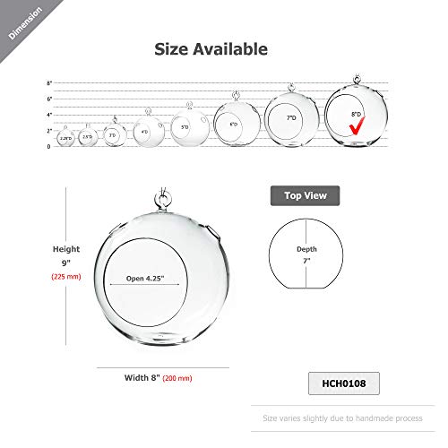 WGVI WGV Hanging Terrarium Globe, Width 8", Height 9", DIY Air Succulent Planter, Clear Glass Vase Orb with Flat Bottom, Candle Holder for Windowsill Outdoor Garden Decor, 1 Piece - size: 8" Flat Bottom