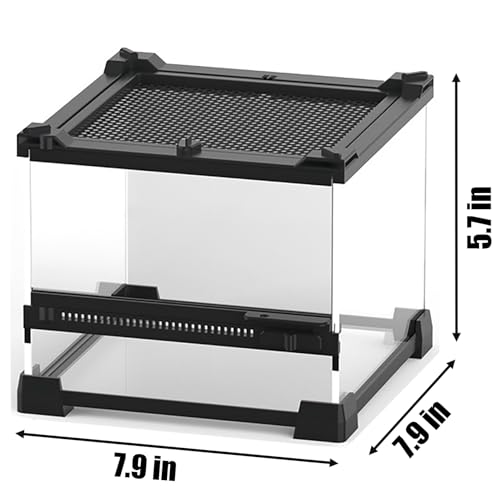 Woyrise Reptile Glass Terrarium Tank 8"x8"x5.7", Front & Top Opening Door Full View Visually Appealing Mini Reptiles or Amphibians Habitat, Stackable Enclousure for Small Reptiles