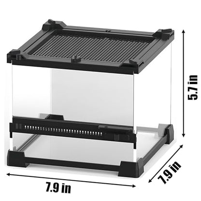 Woyrise Reptile Glass Terrarium Tank 8"x8"x5.7", Front & Top Opening Door Full View Visually Appealing Mini Reptiles or Amphibians Habitat, Stackable Enclousure for Small Reptiles