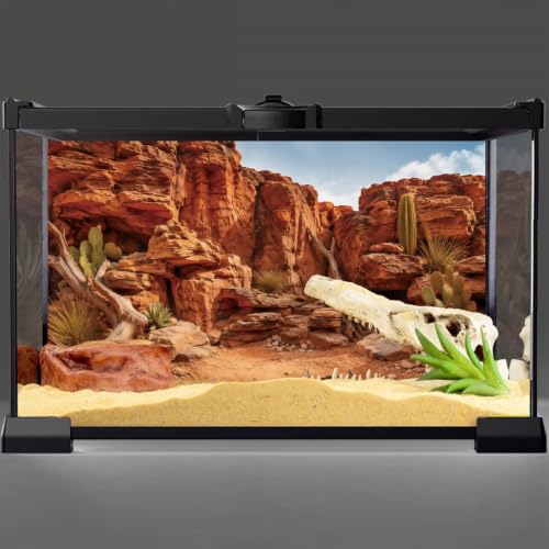 Desert Rock Cactus Reptile Habitat Background, 72x18 In Terrarium Backdrop | AWERT terrarium backdrop with weathered rock , driftwood, desert plants & sand substrate, polyester reptile habitat decor - size: 72x18in/180x45cm