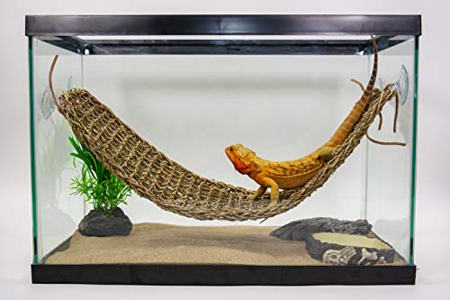 PENN-PLAX Reptology Lizard Lounger – 100% Natural Seagrass Fiber – Great for Bearded Dragons, Anoles, Geckos, and Other Reptiles – Extra Large - size: X-Large (Pack of 1)