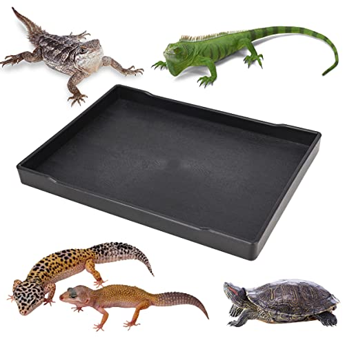 Reptile Food Water Bowl Plate Dish for Tortoise Crawl Pet Drinking and Eating Hallow Water Dish for Reptiles (Size2-M) - size: Size2-M