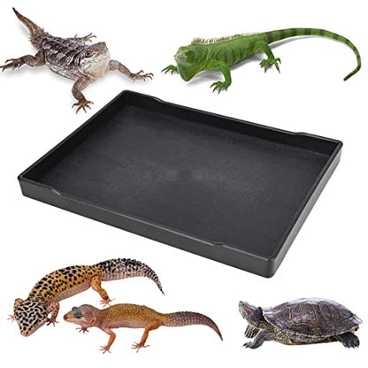 Reptile Food Water Bowl Plate Dish for Tortoise Crawl Pet Drinking and Eating Hallow Water Dish for Reptiles (Size2-M) - size: Size2-M