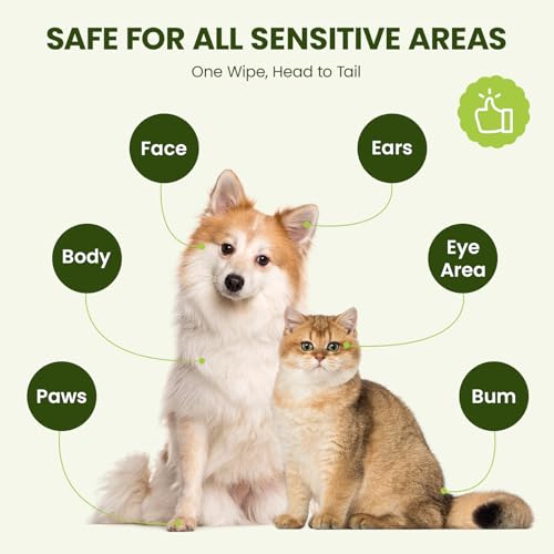 Hypoallergenic Pet Wipes for Dogs, Cats & Small Animals,100 Count | Quick Clean & Deodorize Paws, Butt, Eyes, Face & Fur | Daily Grooming Wipes | Extra Large & Thick | Coconut Scented - size: 100 Grooming Wipes