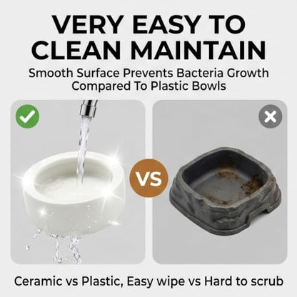 Reptile Food Dish Bowl, 2 Pack Lizard Gecko Ceramic Mealworms Bowls for Leopard Bearded Dragon Chameleon Hermit Crab Dubia Cricket Anti-Escape Superworm Feeder (Medium-1Pack) - size: Medium-1Pack