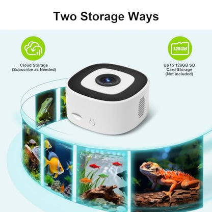 2K AI Reptile & Aquarium Camera with Wide-Angle Lens | 2.4G&5GHz WiFi, 24/7 Recording, Anti-Glare & No Reflection for Fish Tank Terrarium Lizard Snake Pet