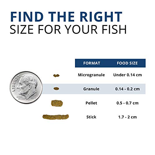 Fluval Bug Bites Tropical Fish Food, Large Granules for Medium to Large Sized Fish, 1.59 oz., A6578 - size: 1.6 Ounce (Pack of 1)