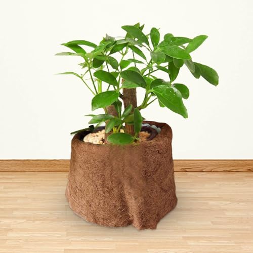 Natural Coco Coir Fiber Liner Roll, co-conut Fiber Pad Sheet | Hanging Basket Coco Liners, Coco Fiber Mat Reptile, Coco Fiber Replacement Liner for p-lanters Window Box Flower Basket Garde - size: 100x25 cm