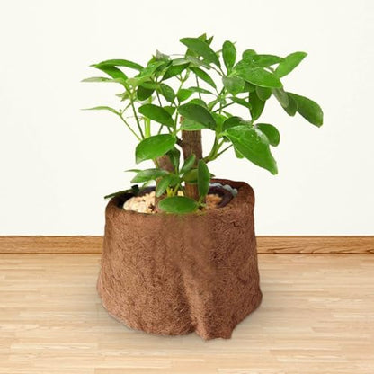 Natural Coco Coir Fiber Liner Roll, co-conut Fiber Pad Sheet | Hanging Basket Coco Liners, Coco Fiber Mat Reptile, Coco Fiber Replacement Liner for p-lanters Window Box Flower Basket Garde - size: 100x25 cm