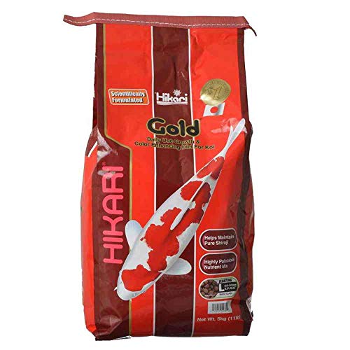 Hikari Usa Inc AHK02482 Gold 11lb Large