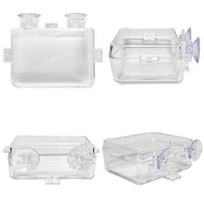 Chameleon Bowl and a Reptile Feeding Tongs 2pcs Feeder and Water Cups with Suction for Iguana Lizard Gecko Worm